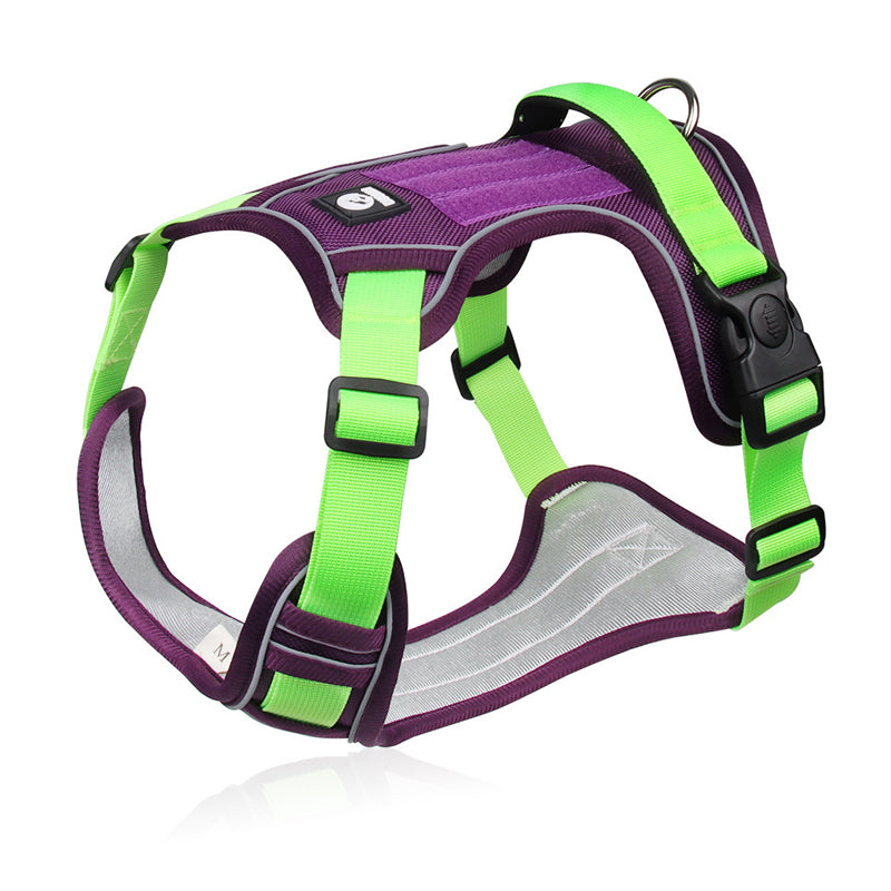 🦮 Harnais anti-traction pour chien avec laisse et collier, équipé de LED