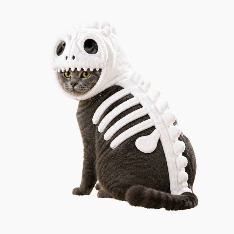 Déguisement de chat en squelette de dinosaure - Des vêtements amusants pour animaux de compagnie