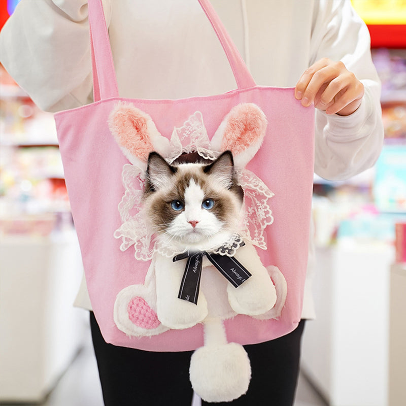 Cage de transport pour animaux de compagnie