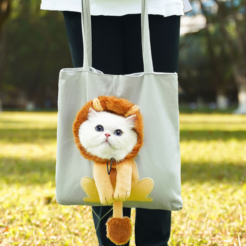 Cage de transport pour animaux de compagnie