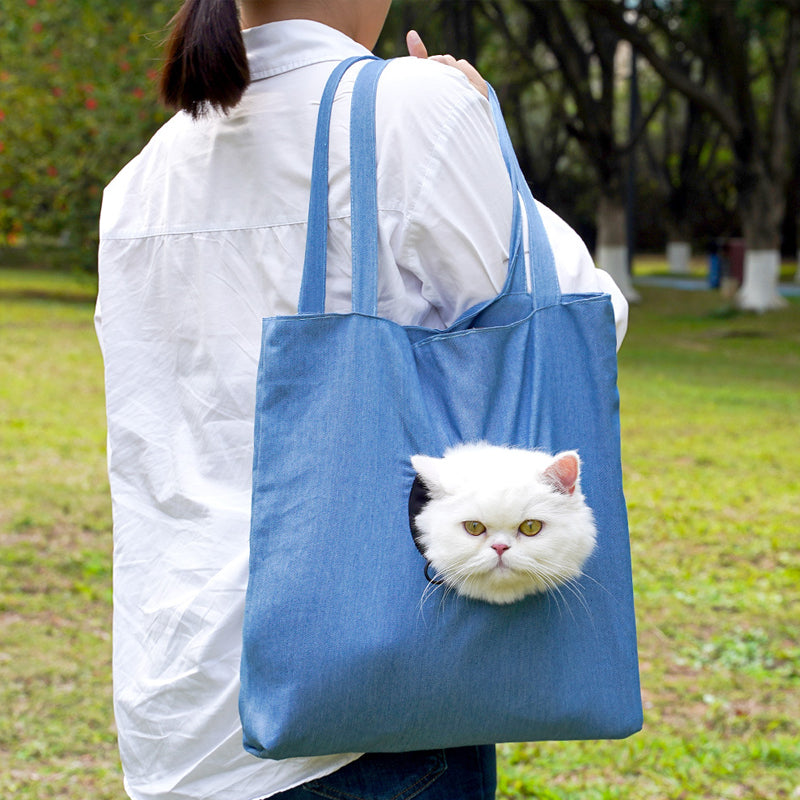 Cage de transport pour animaux de compagnie