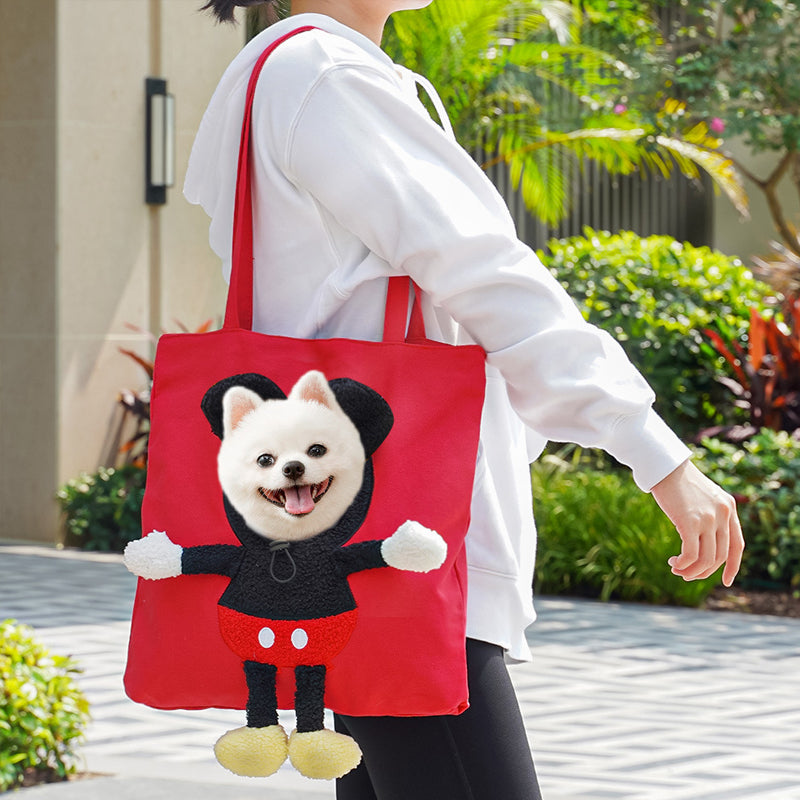 Cage de transport pour animaux de compagnie