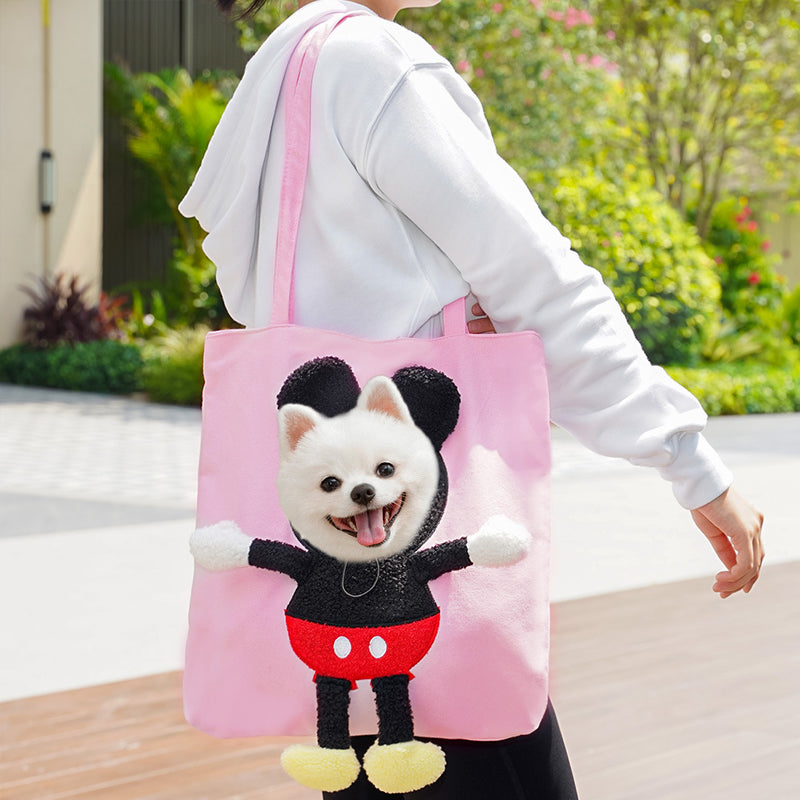 Cage de transport pour animaux de compagnie
