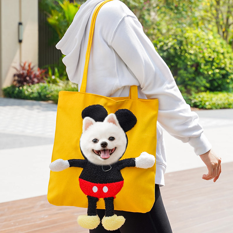 Cage de transport pour animaux de compagnie