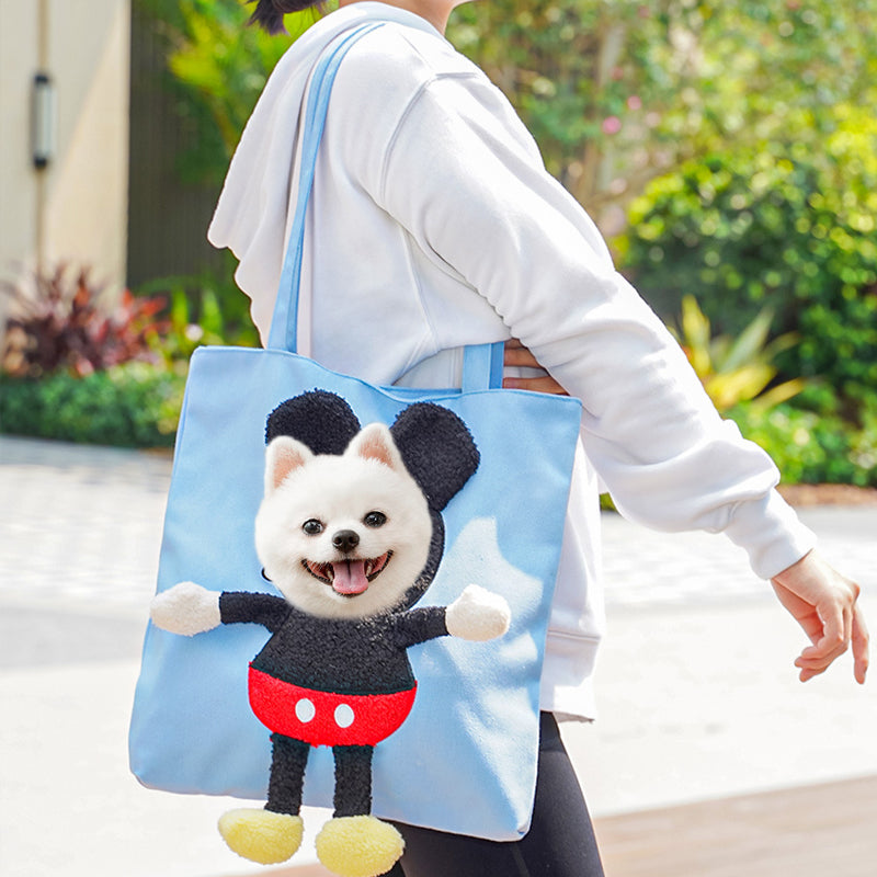 Cage de transport pour animaux de compagnie