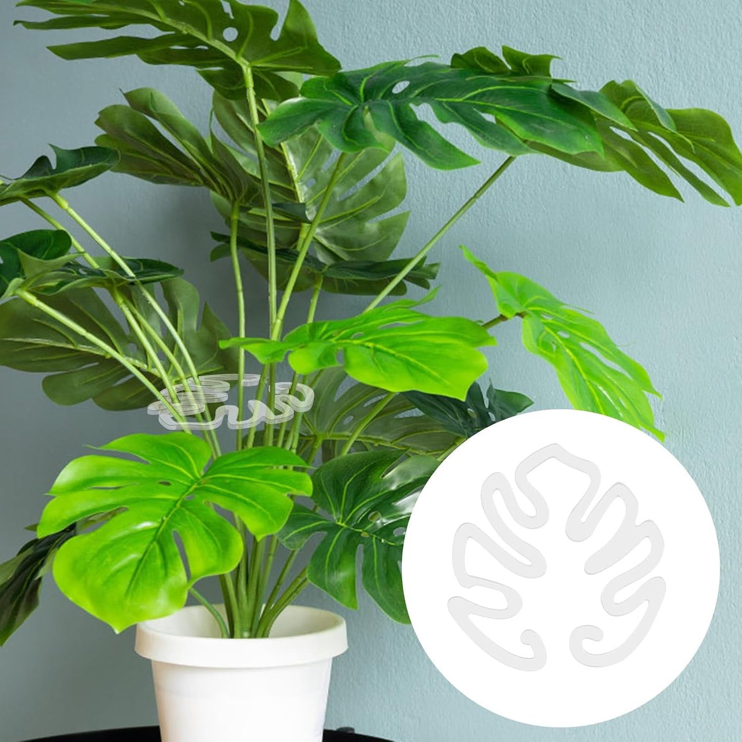 Tuteur transparent en acrylique en forme de feuille de Monstera | Support invisible pour les plantes en pot d'intérieur 🌿
