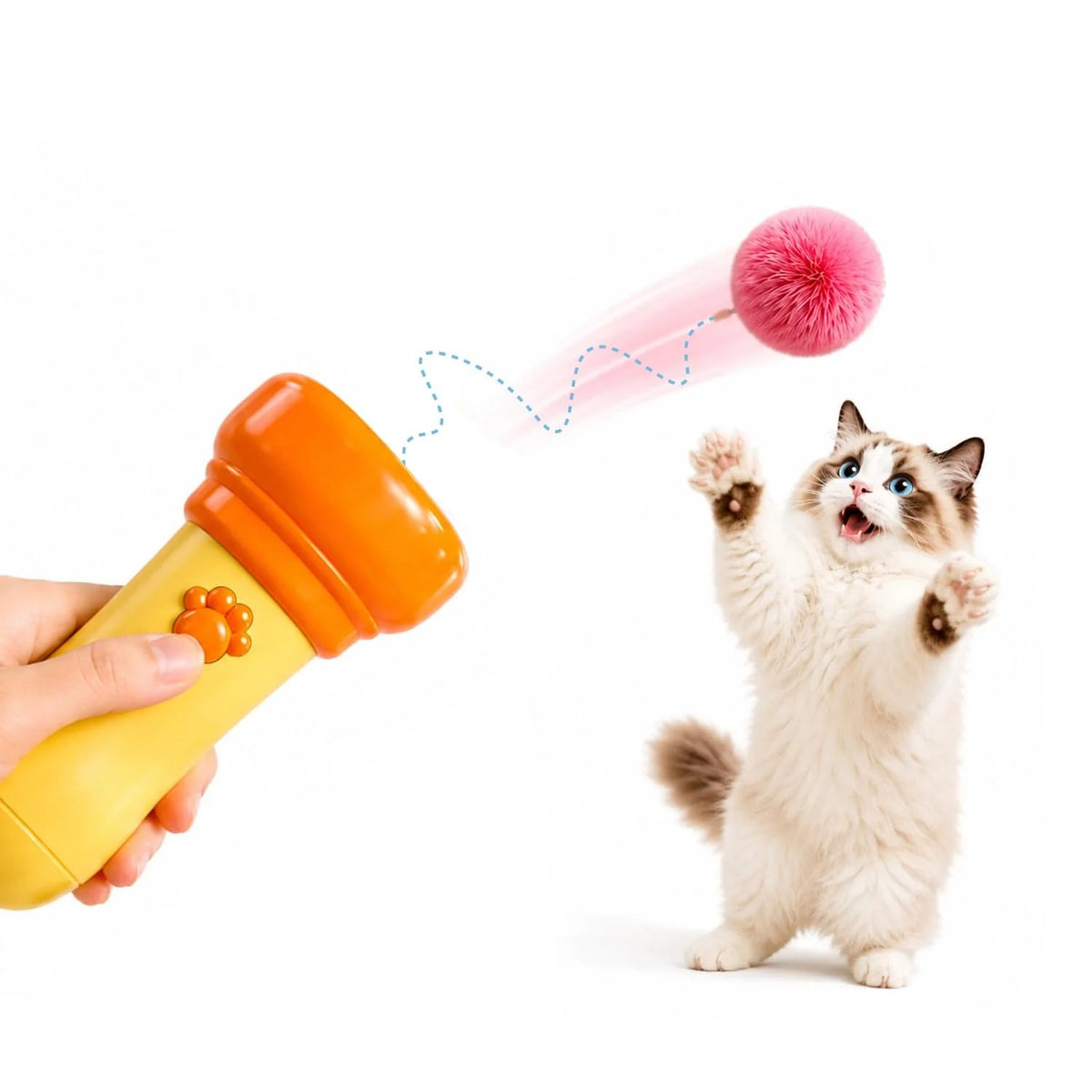Lanceur automatique de jouets pour chats