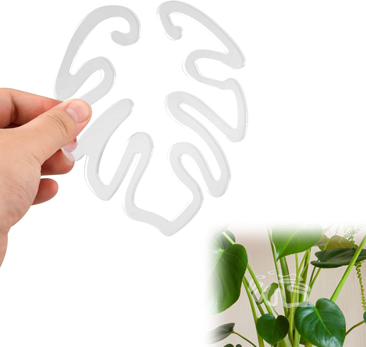Tuteur transparent en acrylique en forme de feuille de Monstera | Support invisible pour les plantes en pot d'intérieur 🌿