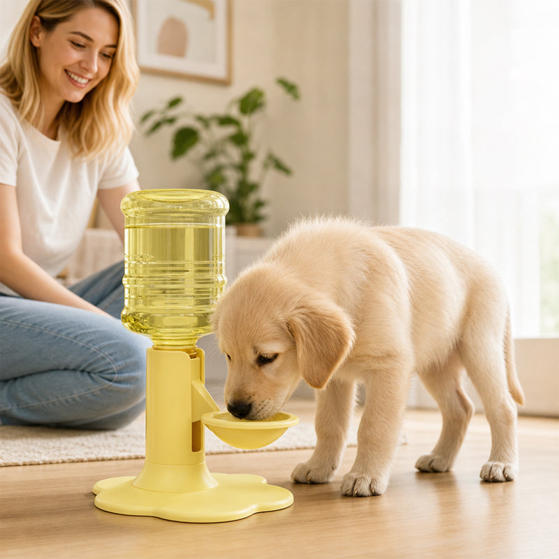 Support pour distributeur d'eau Gravity Cat - Anti-déversement