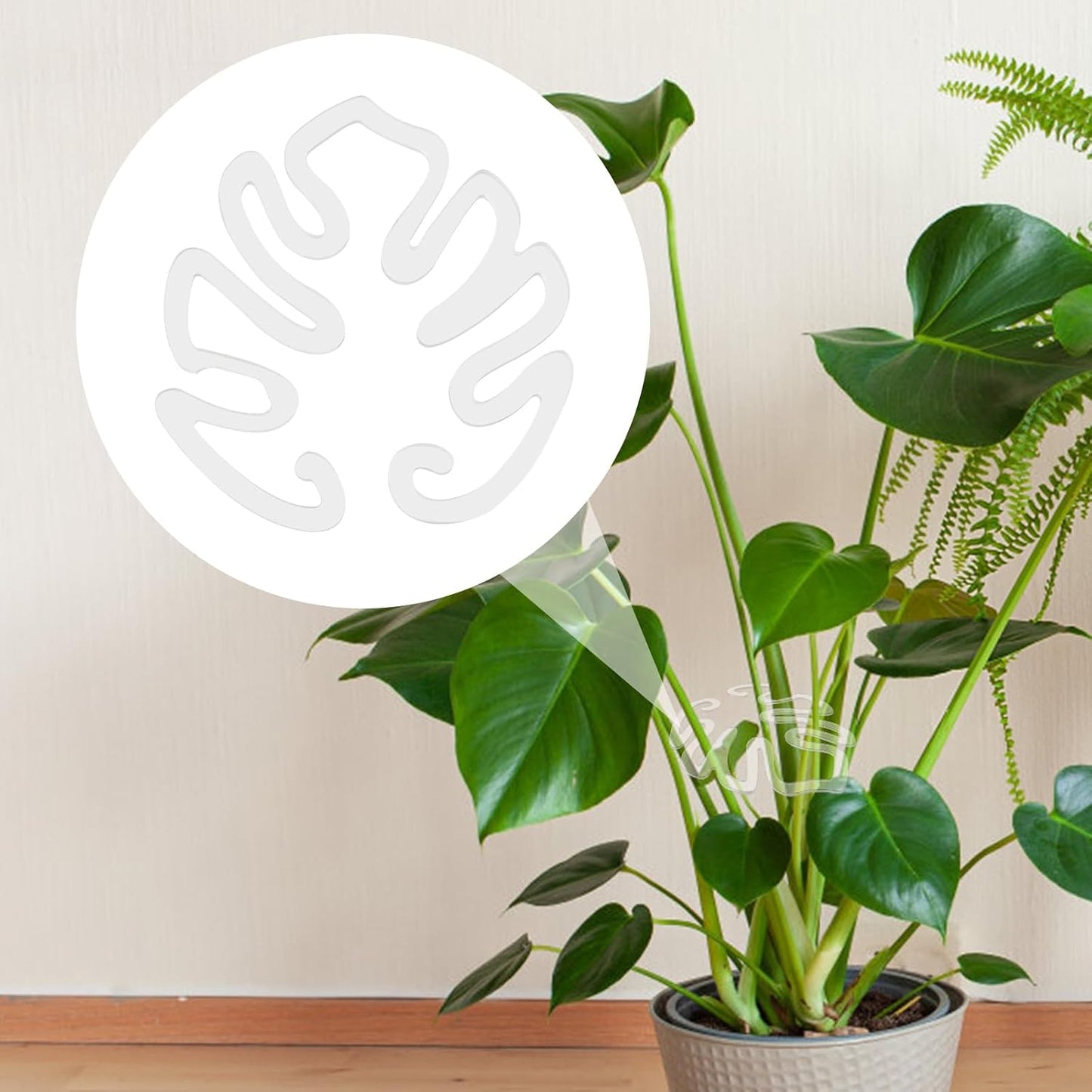 Tuteur transparent en acrylique en forme de feuille de Monstera | Support invisible pour les plantes en pot d'intérieur 🌿