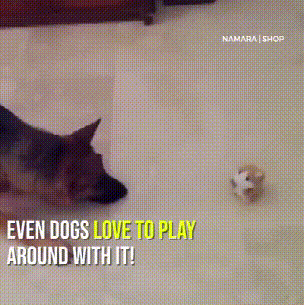 Peluche hamster parlante qui vous imite et secoue la tête