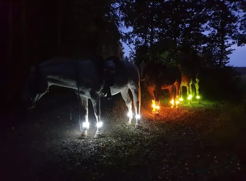 🐎 Sangles de jambe LED pour cheval – Lot de 4 | Feux de sécurité rechargeables pour l'équitation de nuit ✨