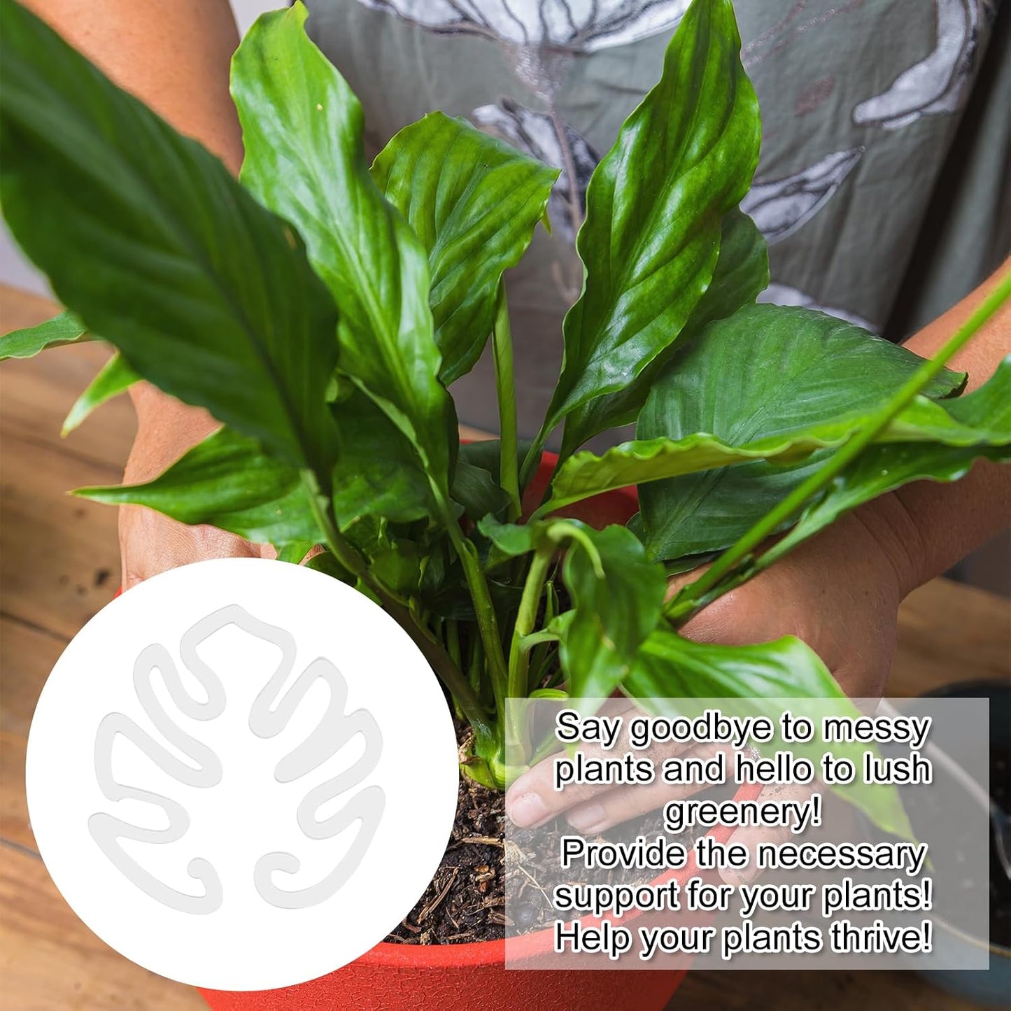 Tuteur transparent en acrylique en forme de feuille de Monstera | Support invisible pour les plantes en pot d'intérieur 🌿