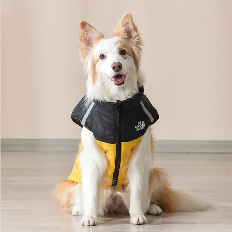 🐶Manteau d'hiver imperméable et coupe-vent pour chien