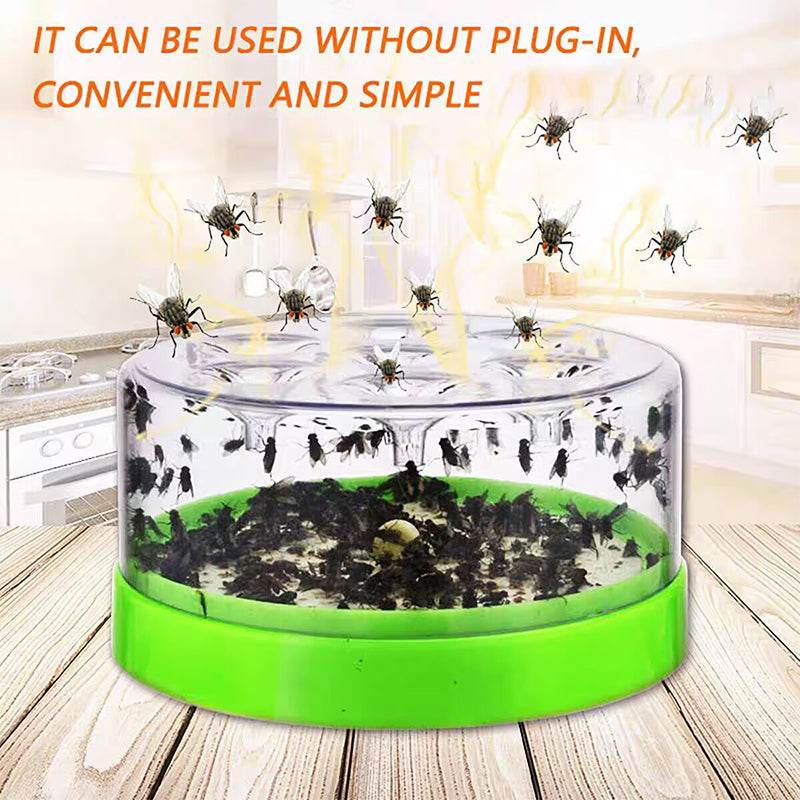 🪰 Piège à mouches écologique — Débarrassez votre maison des insectes indésirables ! 🛑