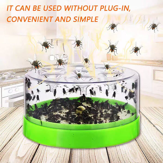 🪰 Piège à mouches écologique — Débarrassez votre maison des insectes indésirables ! 🛑
