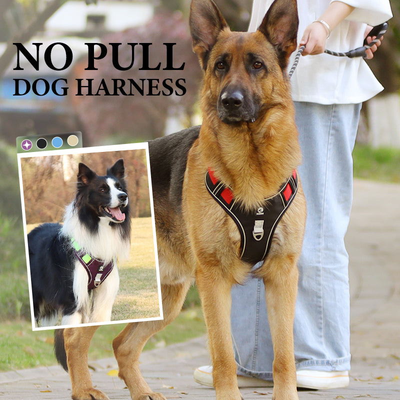 🦮 Harnais anti-traction pour chien avec laisse et collier, équipé de LED