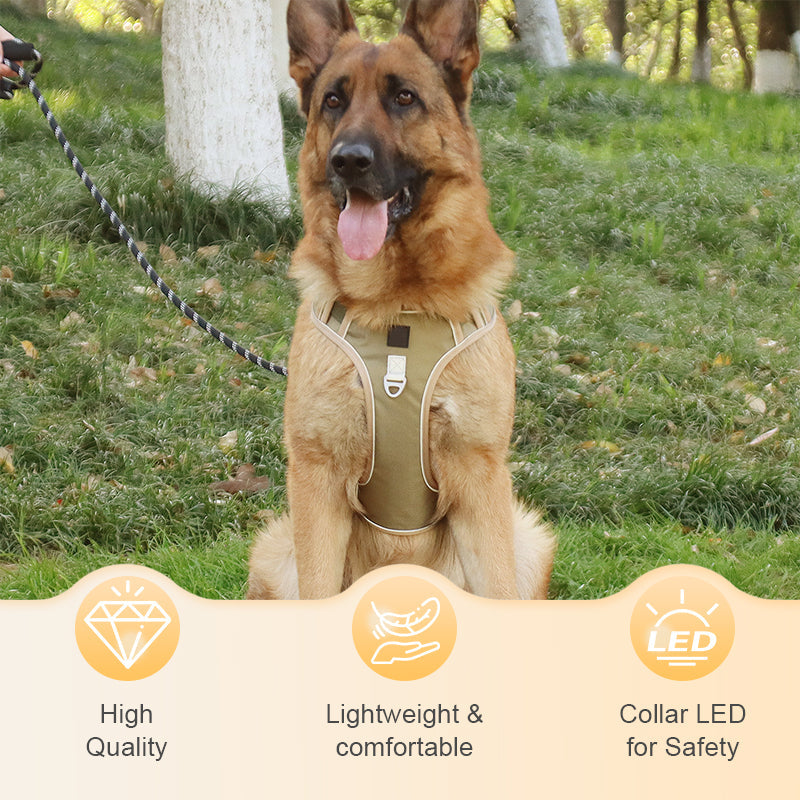 🦮 Harnais anti-traction pour chien avec laisse et collier, équipé de LED