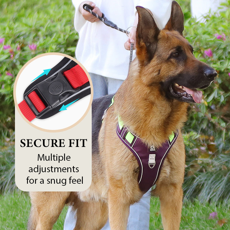 🦮 Harnais anti-traction pour chien avec laisse et collier, équipé de LED