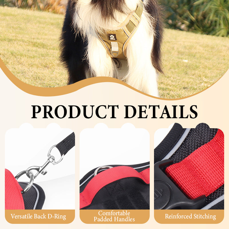 🦮 Harnais anti-traction pour chien avec laisse et collier, équipé de LED