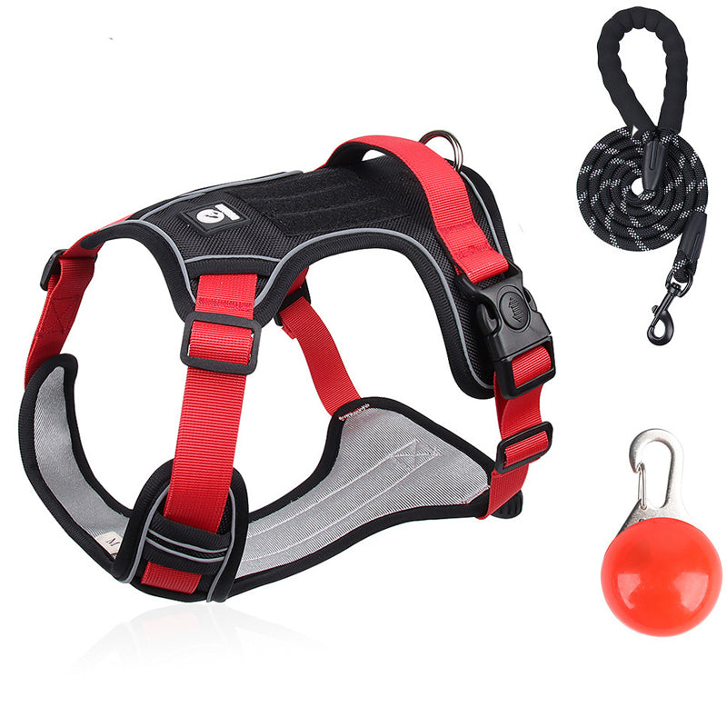 🦮 Harnais anti-traction pour chien avec laisse et collier, équipé de LED