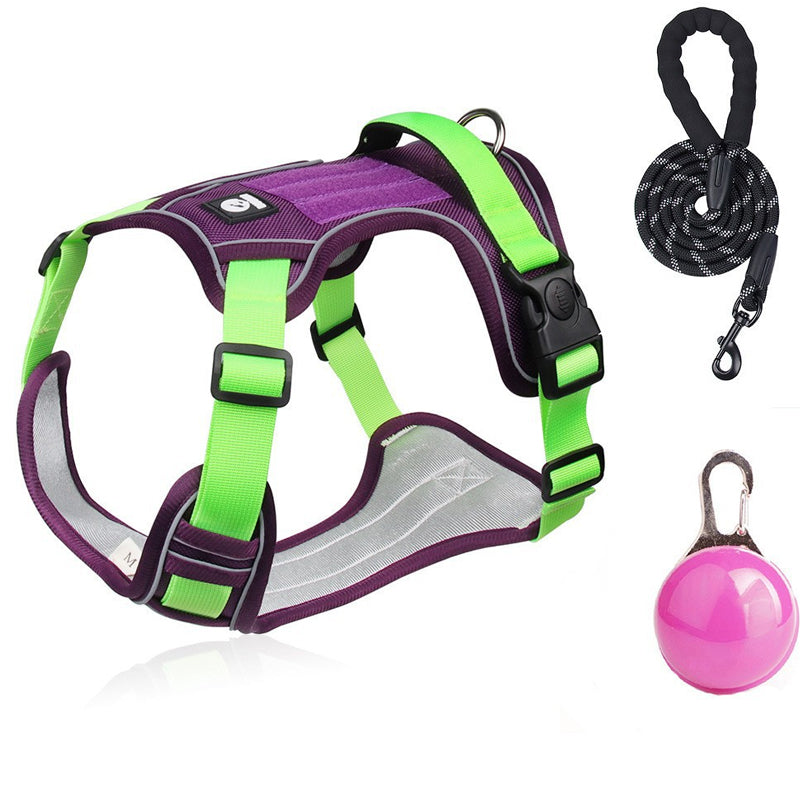 🦮 Harnais anti-traction pour chien avec laisse et collier, équipé de LED