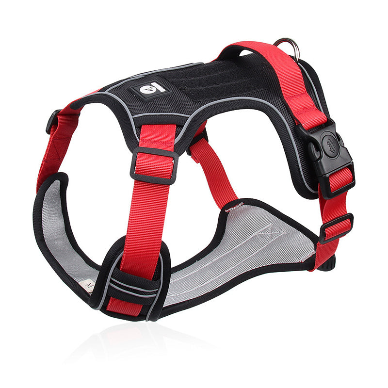 🦮 Harnais anti-traction pour chien avec laisse et collier, équipé de LED
