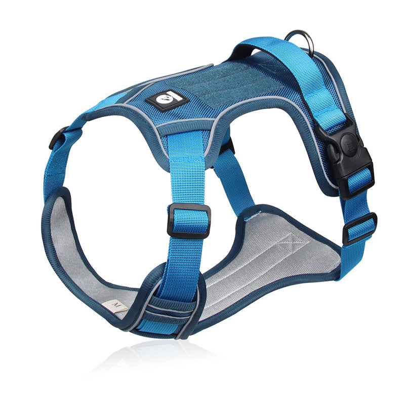 🦮 Harnais anti-traction pour chien avec laisse et collier, équipé de LED